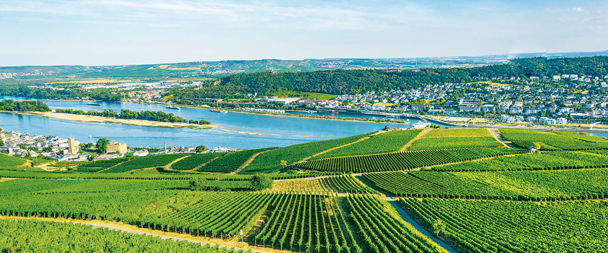 Aerial view of Ruedesheim, Germany